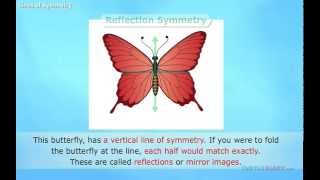 Symmetry
