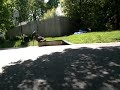 Funny Skate Bail Funny Skate Bail