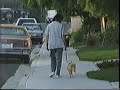 Pooch In A Pouch