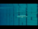 ??????? DELTA-F/M ver2.0/2.1 SFYDD-PV ??????? DELTA-F/M ver2.0/2.1 SFYDD-PV