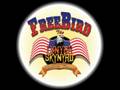Free Bird Lynrd Skynrd ( With Lyrics )