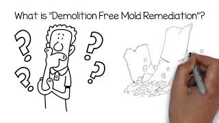 What is Demolition Free Mold Remediation?