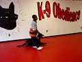 Little Mo working Dynasty