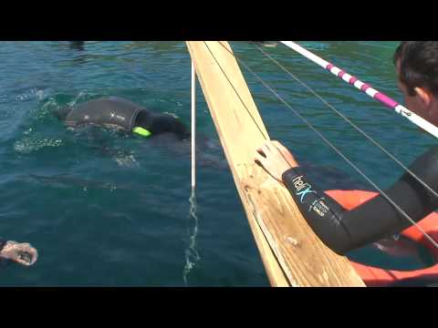 free diving - William Trubridge breaks the world record in Unnasisted Freediving with a dive to 88m (288ft) in 3 minutes 30 seconds. The dive was set at the Vertical Blue ...