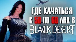 Прокачка с 50-60 в Black Desert Прокачка с 50-60 в Black Desert