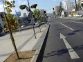 Bicicleta electrica en Vi�a-Chile