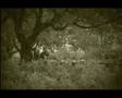 GHOST VID