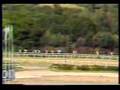 1987 (193) Premio BANESTO (OAKS ESPAÑOL) (G.I) (TERESA)