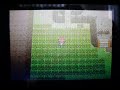 Shiny Cacturne plus patch - chaining process (complete version)