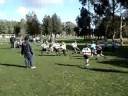 Try de Comercial en Escuelita Chica