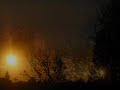 Atardecer Penquista
