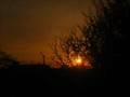 Atardecer Penquista