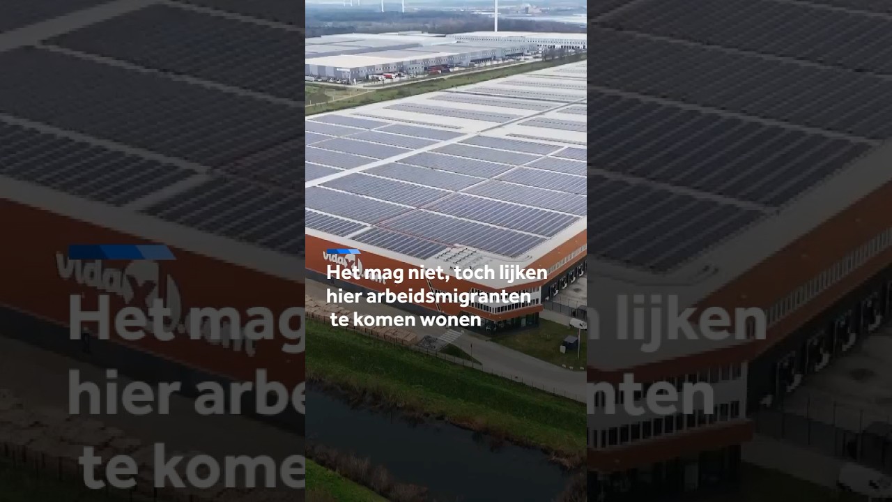 Provincie Limburg stelt strikte voorwaarden aan mogelijke ontheffing huisvesting 600 arbeidsmigrante