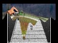 ?erafettin T�rk ?iiri - ?ki Kelime Seslendiren �iy Tanesi