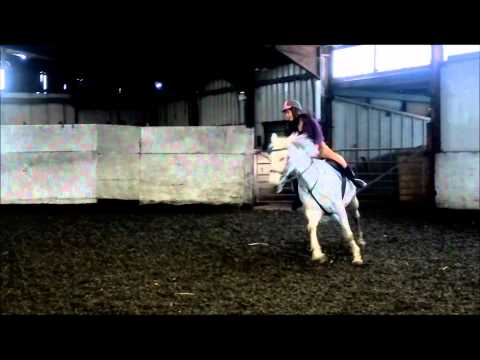 bounce energy bounce energy