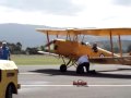 HARS-  Yellow Tiger Moth