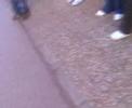 Educacion Vial
