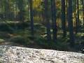 Cross Robban på klocksberg
