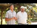 JT and Jasbir Kullar, California Kiwifruit Farmers