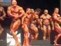 Inicio-IFBB-Australi