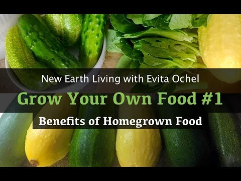 how to grow own food