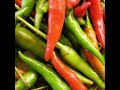 You Spicy Thang...