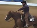 World Championship Appaloosa Show 2007