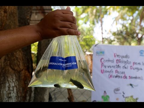 El Salvador is carrying out a strategy that uses l...