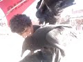 Urubunauta Manuel cria URUB�- VULTURES in Canoa Quebrada