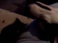 videos de MonstersPlaying (9-2-06)