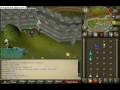 videos de element spy1owned