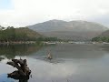 Nature's beauty.AVI