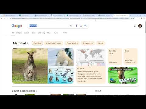 Custom Models Follow Along with Amazon Bedrock - AWS AI Practitioner AIF-C01