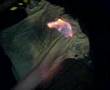 Shwerwood Fire