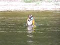 Buster: Happiness at White Bear Lake 4W1B6L