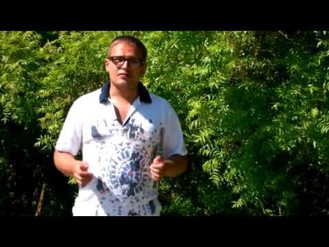 Смотреть видео Смотреть видео