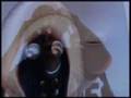 386 Duploo feat. KomA - Terror