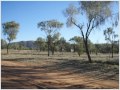 Alice Springs Marathon 2010 - foto 2