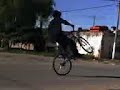 gaston carrel tirando wily