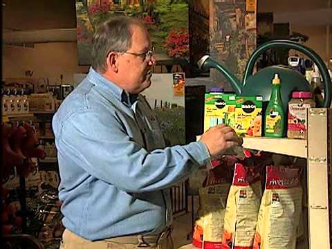 how to fertilize indoor plants naturally