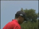 Follow The Roar -- Tiger Woods 2008 highlights