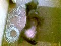 Barry snoring 2