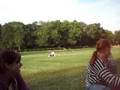 videos de friendspt5