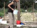 Inga's Free Range Worm Farm