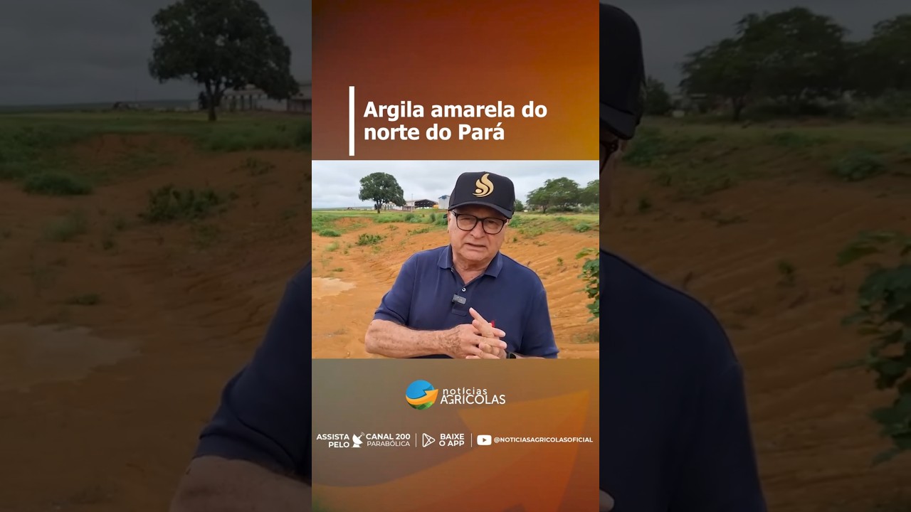 Argila amarela do norte do Pará é terra rara na produção de grãos