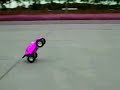 Trippy Marder vid clip Trippy Marder vid clip