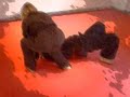 Selbstverteidigungs Übungen 3 - Self defense