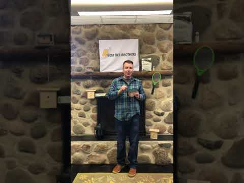 image preview of video showcasing 6 Tips To Better Use a Carpenter Bee Trap