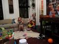 videos de dolphin