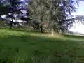 Frullo Cazzeggia nel parco delle terme